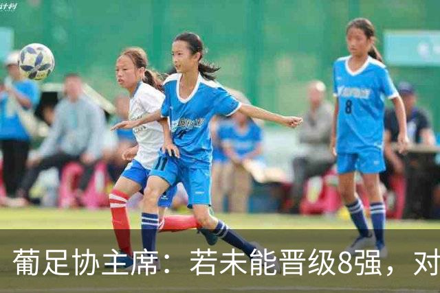 葡足协主席：若未能晋级8强，对葡萄牙来说将是糟糕的世界杯之旅